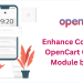 Enhance Conversions with OpenCart Cart Reminder Module by Knowband
